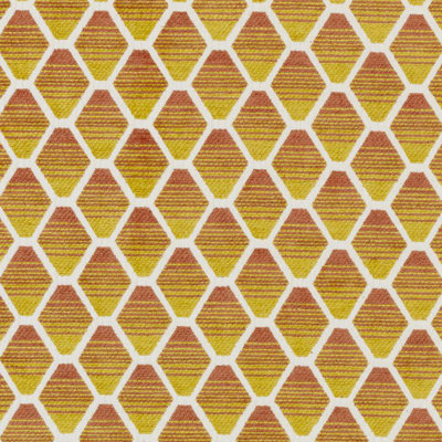 Bailey & Griffin Influences Fabric