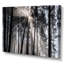 «Sunbeam Through Black White Forest», photographie-35125685-35125692