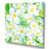 Toile tendue