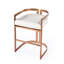 Butler Bravo Faux Leather Counter Stool-746668157-746668158-719676287