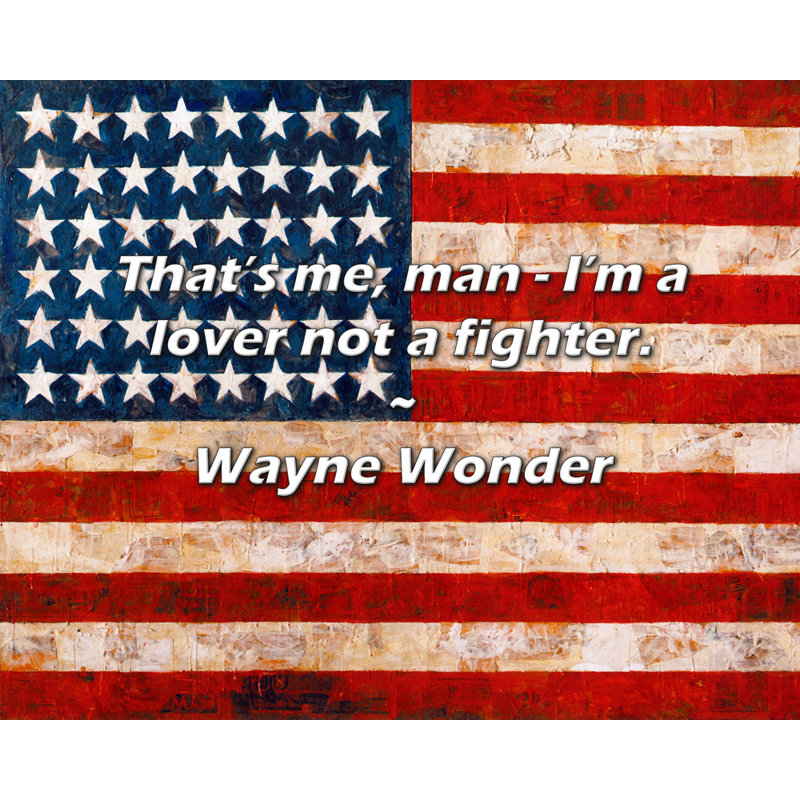 Wayne Wonder Quote: That’s me, man - I’m a lover not a fighter., 20" H x 24" W