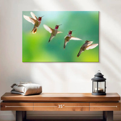 Flying Hummingbirds