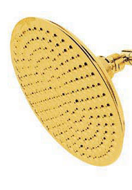 Hot Springs Large Volume Control Shower Head, Polished Brass