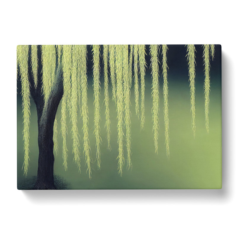 Bold Weeping Willow Tree - Wrapped Canvas, 50cm H x 76cm W x 3cm D