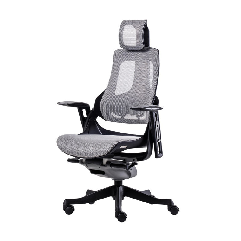 Chaise de bureau ergonomique de luxe avec 6 réglages de précision - Dossier en filet respirant
