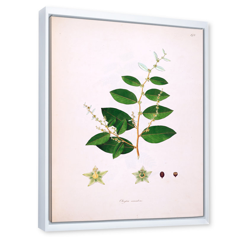 Vie végétale rétro - peinture sur toile, H 32 po x l 24 po x P 1 po, Cadre flottant blanc