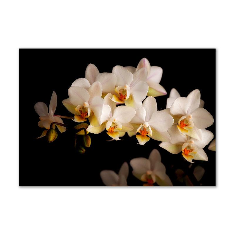 Orchid - Wrapped Canvas Print