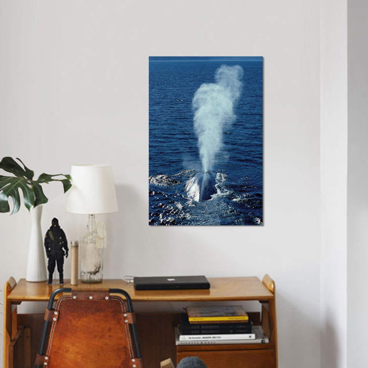 « blue baleine », toile photo imprimée, H 12 po x l 8 po x P 0,75 po, Toile tendue, Pas de tapis
