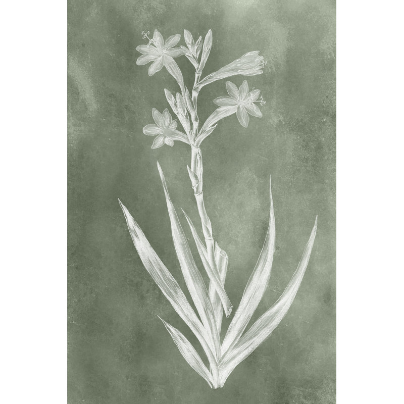 Sage Impressions V by Vision Studio - Wrapped Canvas Painting, 76cm H x 51cm W