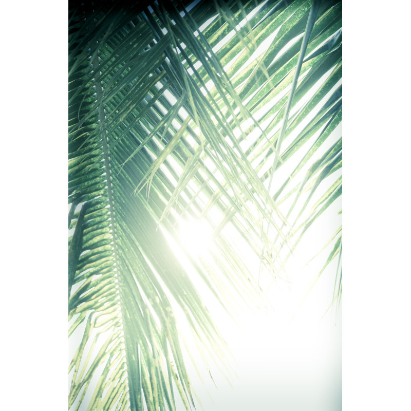 «Palm Tree Leaves» par Menigma_ - Photographie de toile tendue, L 12 po x H 18 po