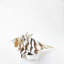 IBIZA Aqua Glass Shell-792631725-792631724