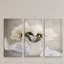 Farmhouse Blooms - ensemble de 3 reproductions de photos sur toile-1493122175