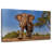 Brampt Playful African Elephant-106051226