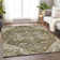 Premium Machine Washable Prisco Brown Rug