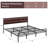 Euanthe Upholstered Bed-278082516-278082517