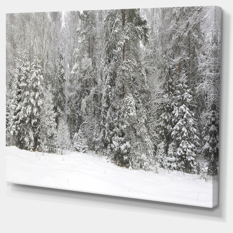 « brumey winter forest panorama », reproduction de photo sur toile tendue, H 8 po x l 12 po x p 1 po