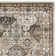 Petronella Viscose Oriental Rug in Ivory