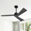 Ventilateur de plafond CC 52 po avec télécommande Breeleigh, ventilateur de plafond intérieur, 3 pales en ABS