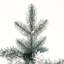Arbre de Noël illuminé par la neige-1471467188