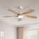 Damecia 52'' Modern Ceiling Fan with LED Light and Remote Control