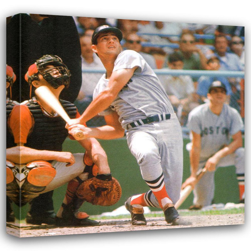Carl Yastrzemski, H 36 po x l 36 po