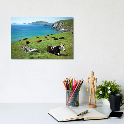 Cows Resting Above Coumeenoole Bay, Dingle Peninsula, County Kerry, Ireland by Gareth McCormack - Wrapped Canvas Gallery-Wrapped Canvas Giclée