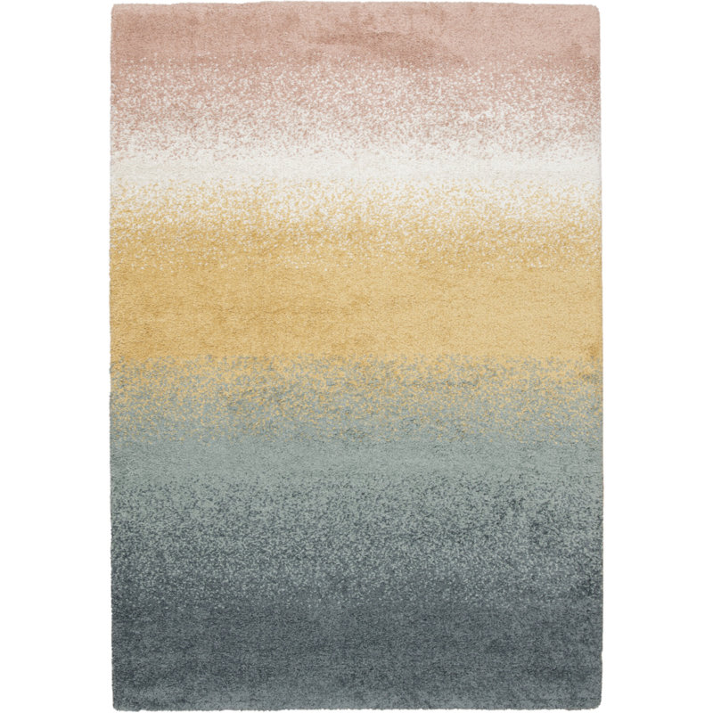 Anyelina Ombre Shag Area Rug, Rectangle 120 x 170cm