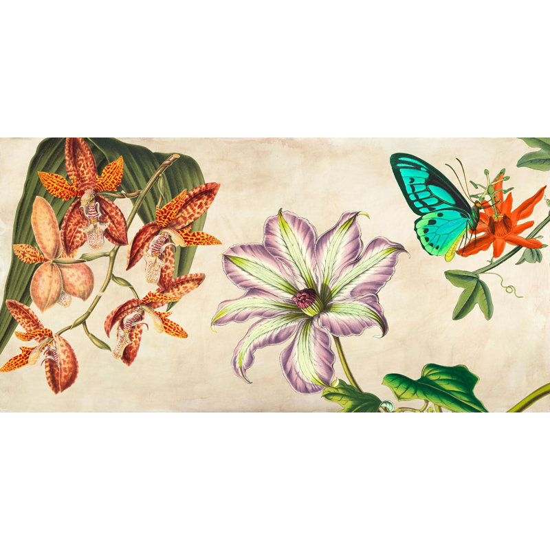Panneau Botanique 1 Piece Wrapped Canvas Wall Art, 35cm H x 70cm W x 4cm D