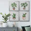 Boho Greenery I - ensemble de 4 reproductions d'art sur toile-60148781-60148785