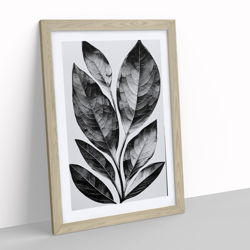 A Monochrome Leaves No.2 - Single Picture Frame Print, 64cm H x 46cm W x 2cm D, Oak Framed, White