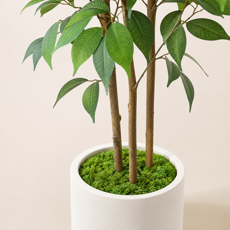 60 po Ficus artificiel avec pot de fleurs en céramique blanche et base en mousse, faux arbre pour la décoration intérieure