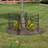 31.5'' H x 36'' W Graphite Metal Fencing Kits