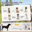 Remorque de vélo pliable pour animaux, chariot de transport pour animal de compagnie, remorque de vélo pour chien