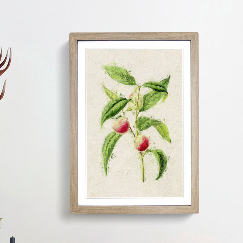 Illustration of Peaches - Picture Frame Painting Print, 48cm H x 36cm W x 2cm D, Oak Framed
