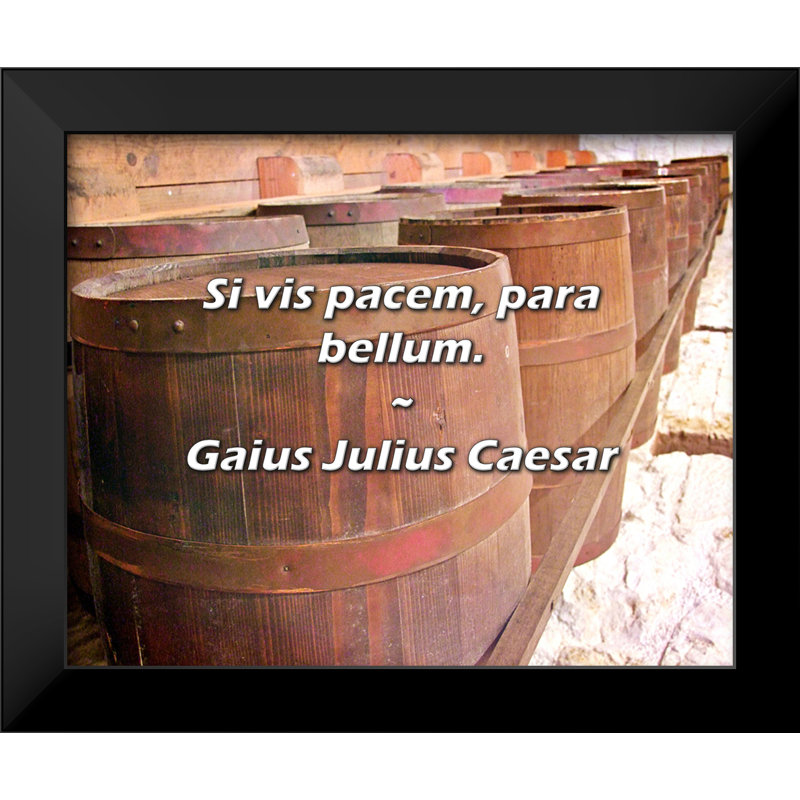 Citation de Gaius Julius Caesar: Si vis pacem, para bellum.