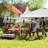 10 Ft. X 10 Ft. Pop-Up Canopy With Two Expandable Sidewalls-107234923