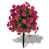 Rose sélectionné