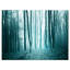 «Turquoise Coloured Magic Forest», reproduction de photo-19240744