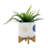 S/2 5/8" Funky Planter W/ Stand