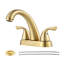 Centerset 2-handle Bathroom Faucet with Drain Assembly-54503402