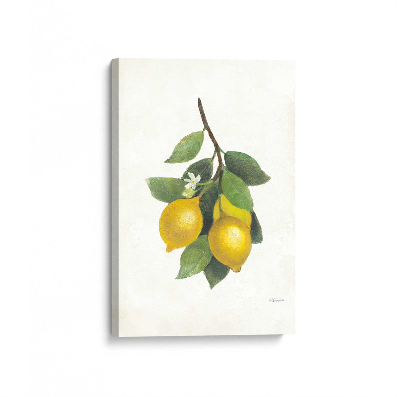 «Lemon Harvest II», reproduction sur toile, Wrapped Canvas, H 12 po x l 8 po x P 1,25 po