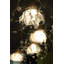 Saintfleur 1 - Light White Unique/Statement Pendant