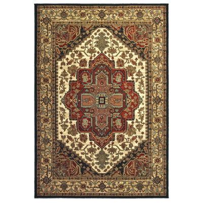 Oriental Indoor Rug