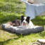 Pet Bed