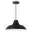 Luminaire suspendu en dome à 1 lumière