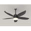 Ensemble d'éclairage pour ventilateur de plafond extérieur de 42 pouces avec télécommande