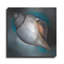 «Sea Shell Glow» par Louise Montillio