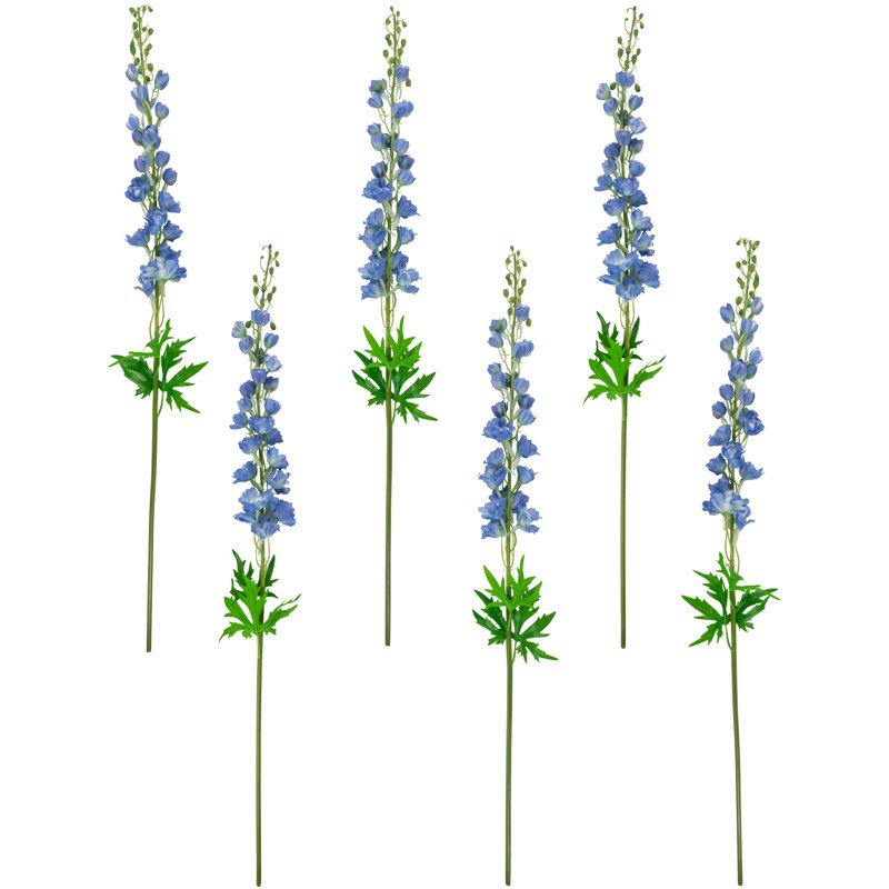 Tiges Delphinium, Bleu