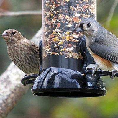 Clever Clean Tube Bird Feeder