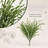 21" Spiral Grass Bush - 3 Pack